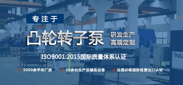凸輪轉(zhuǎn)子泵生產(chǎn)廠家，專注于凸輪轉(zhuǎn)子泵的研發(fā)生產(chǎn)，高端定制